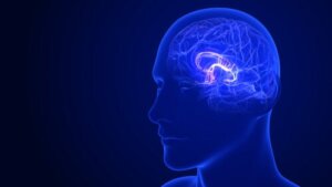 6 Ways to Stimulate Your Hypothalamus for Healthy Functioning