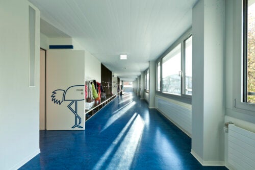 Linoleum Flooring: Learn All About It and Its Advantages and Disadvantages