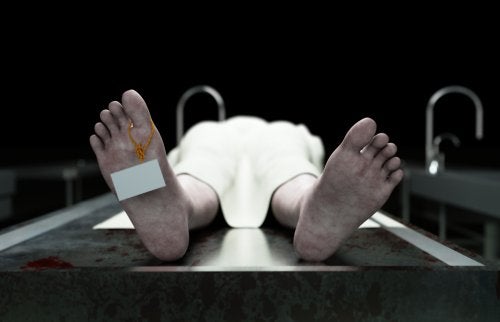 What Happens in the Body After Death?