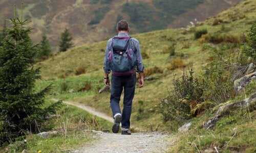 Why Do the Sounds of Nature Benefit Health?