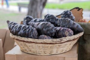 Black Mashua: Nutritional Composition and Potential Benefits