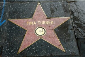 Remembering Tina Turner: Her Courageous Battle with Health Problems