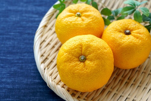 a Japanese citrus fruit full of vitamin C