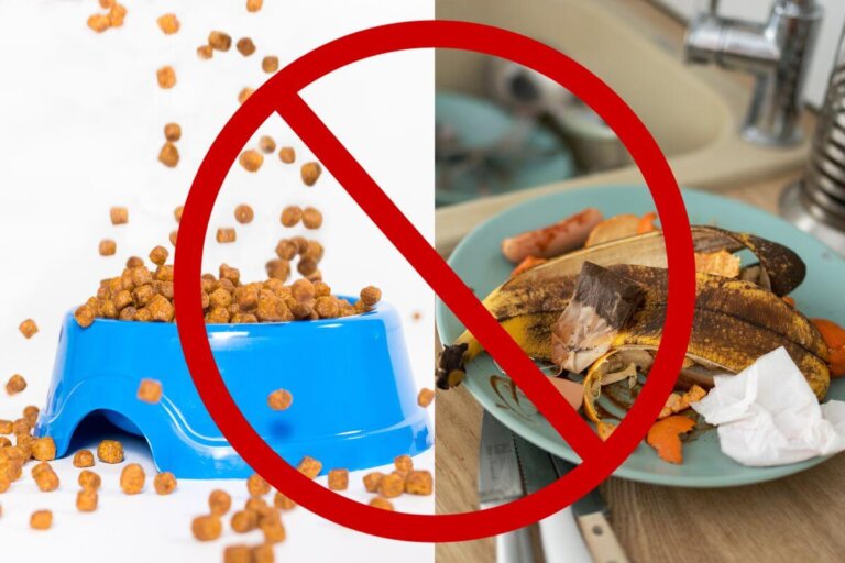 The Top 10 Things That Attract Moths and Other Bugs to Your Home