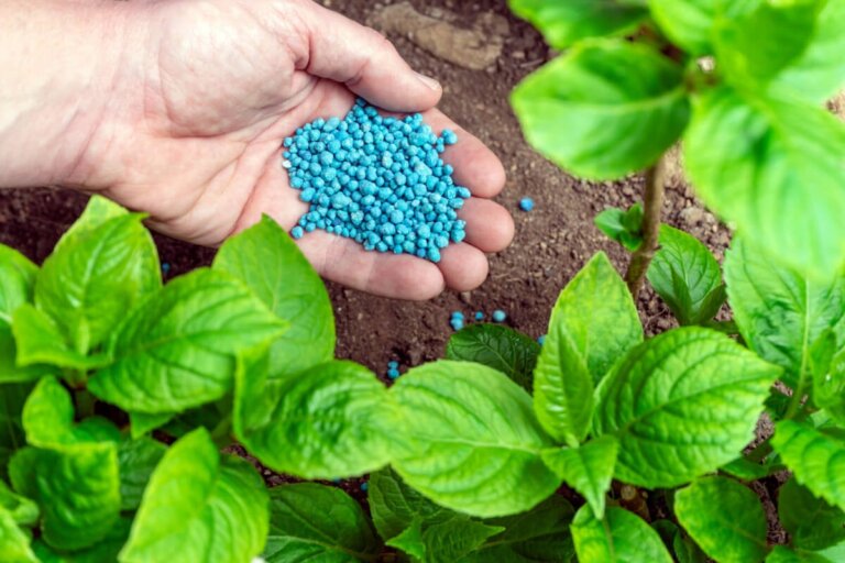 8 Ways to Add Nitrogen and Phosphorus to Your Plants Naturally