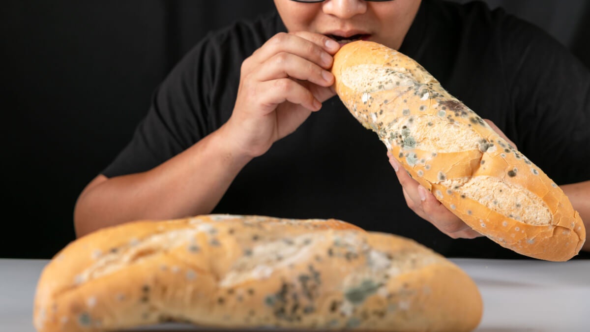 Here’s what happens in the event you eat moldy bread